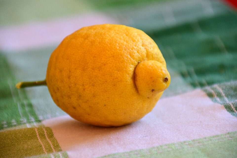 Fruit vitamins kitchen