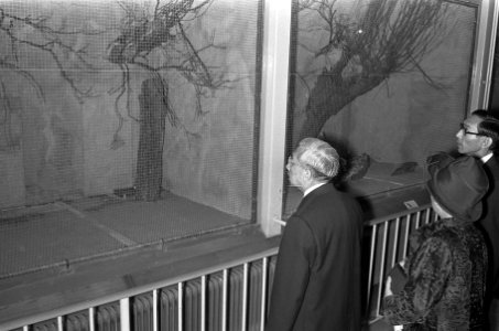 Keizer Hirohito en echtgenote bezoeken Artis Amsterdam, Bestanddeelnr 925-0285