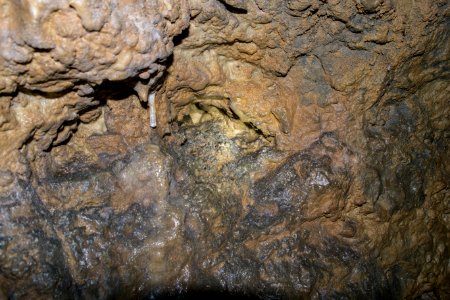 Kellerberghöhle (A 37) 68 photo