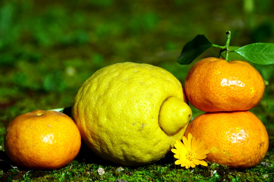 Healthy vitamins nature