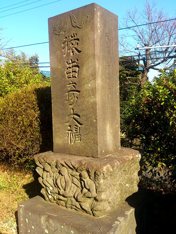 KazahayaJinjaMatsudo08