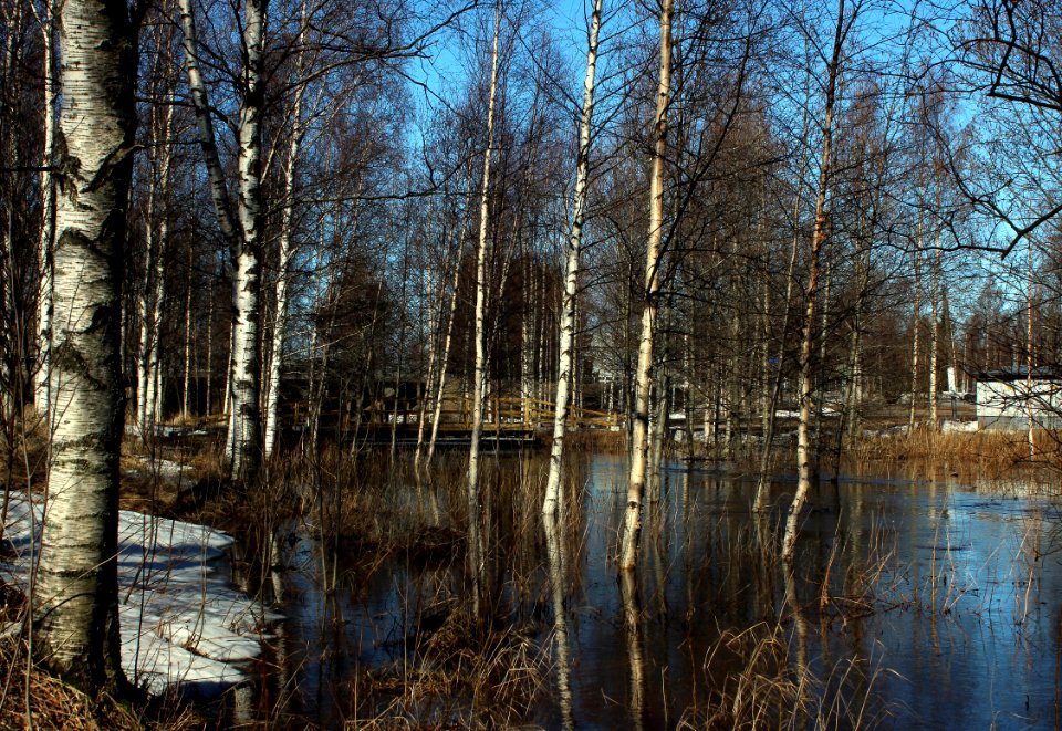 Kaupunginoja Oulu 20120428