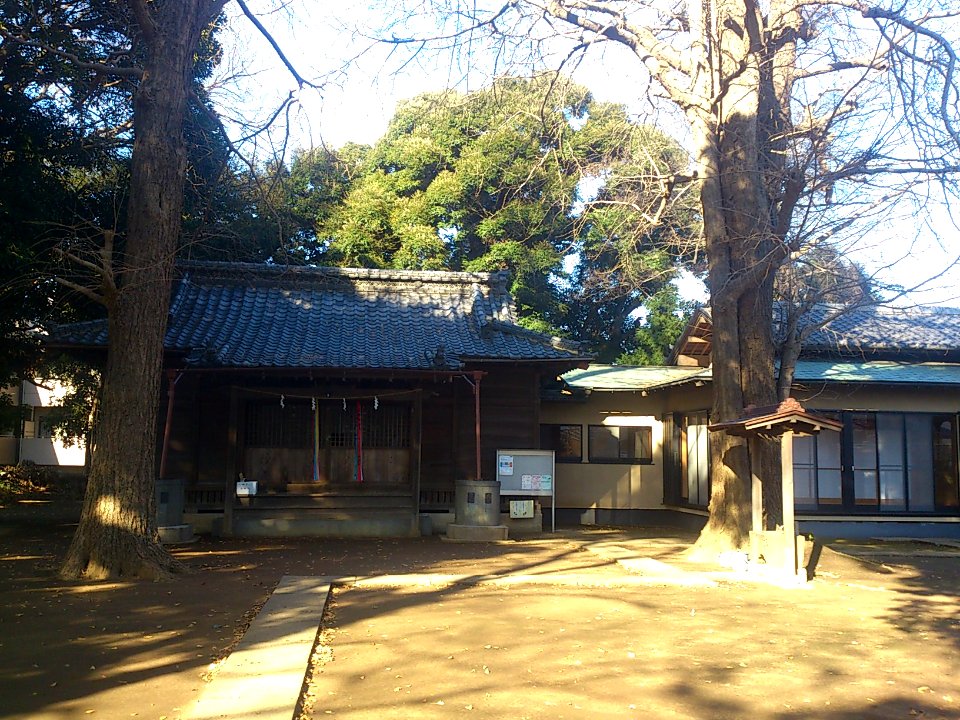 KazahayaJinjaMatsudo17