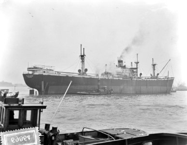 Katingo los van kust in Bergen, aankomst in Rotterdam op Maas, Bestanddeelnr 906-9864