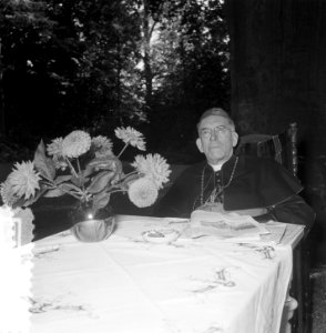 Kardinaal J. de Jong 45 jaar priester, Bestanddeelnr 905-8824