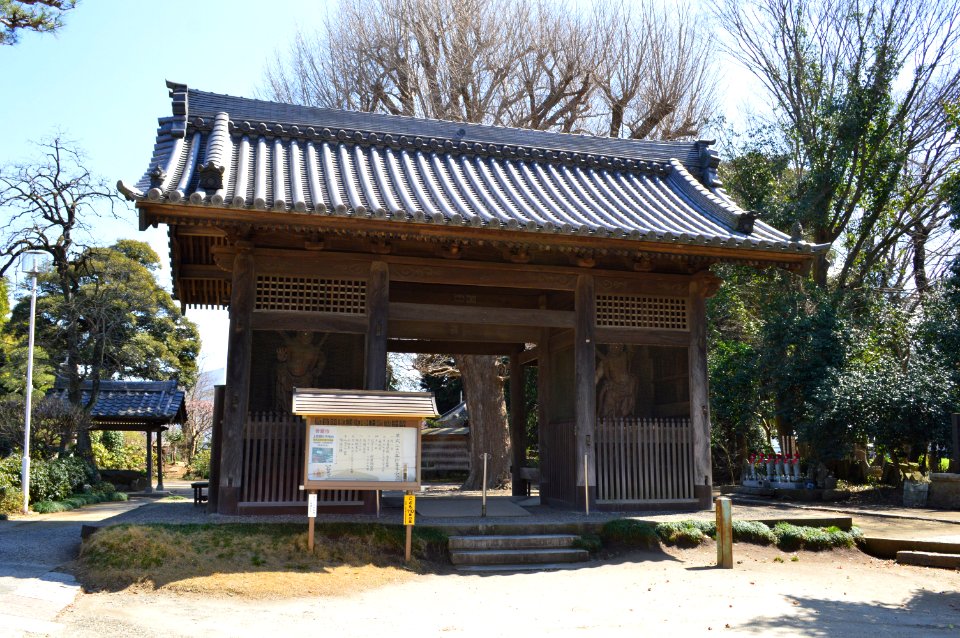 Kazusa-kokubunji nioumon-2