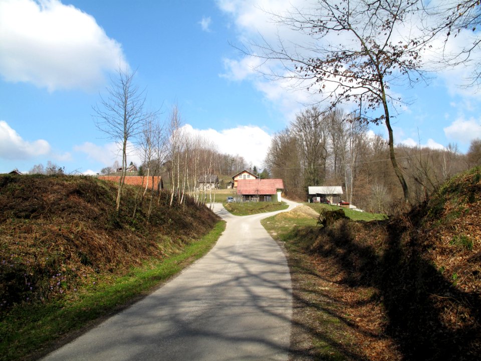 Katrce 14