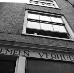 Katje in het raam, Bestanddeelnr 913-0051