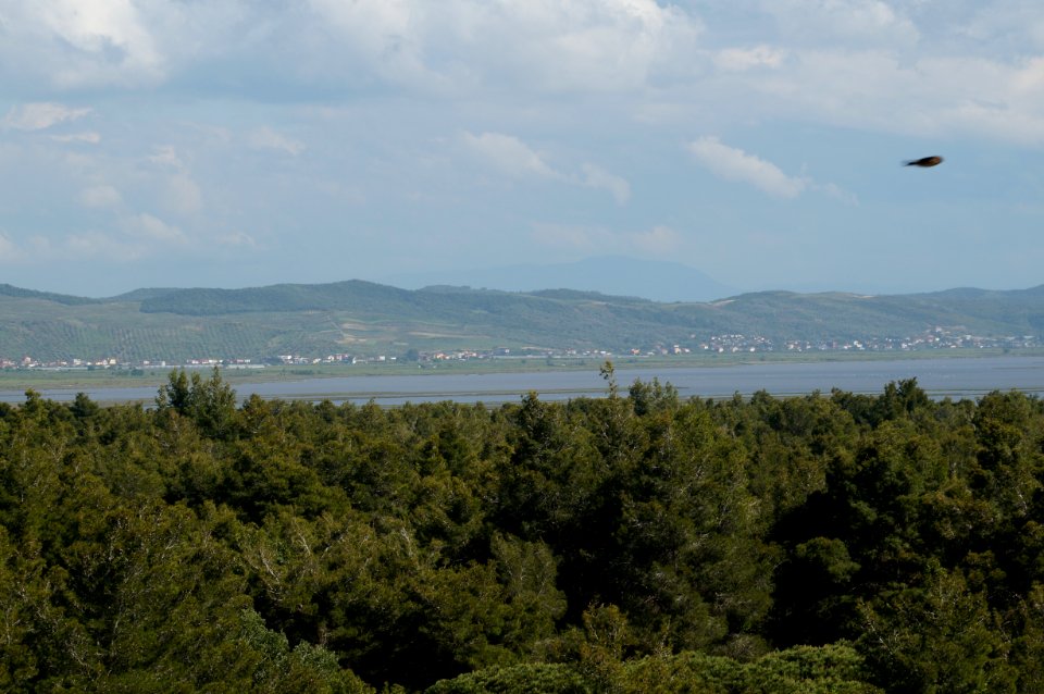 Karavasta lagoon from tower