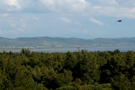 Karavasta lagoon from tower