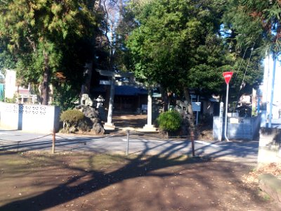 KazahayaJinjaMatsudo11