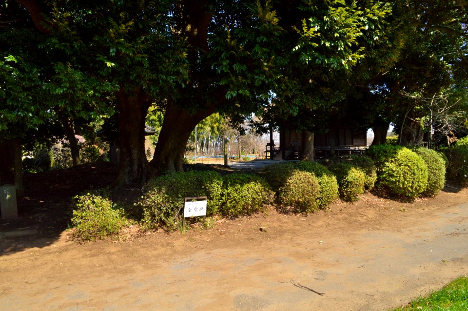 Kazusa-kokubunji-ato kondou-2