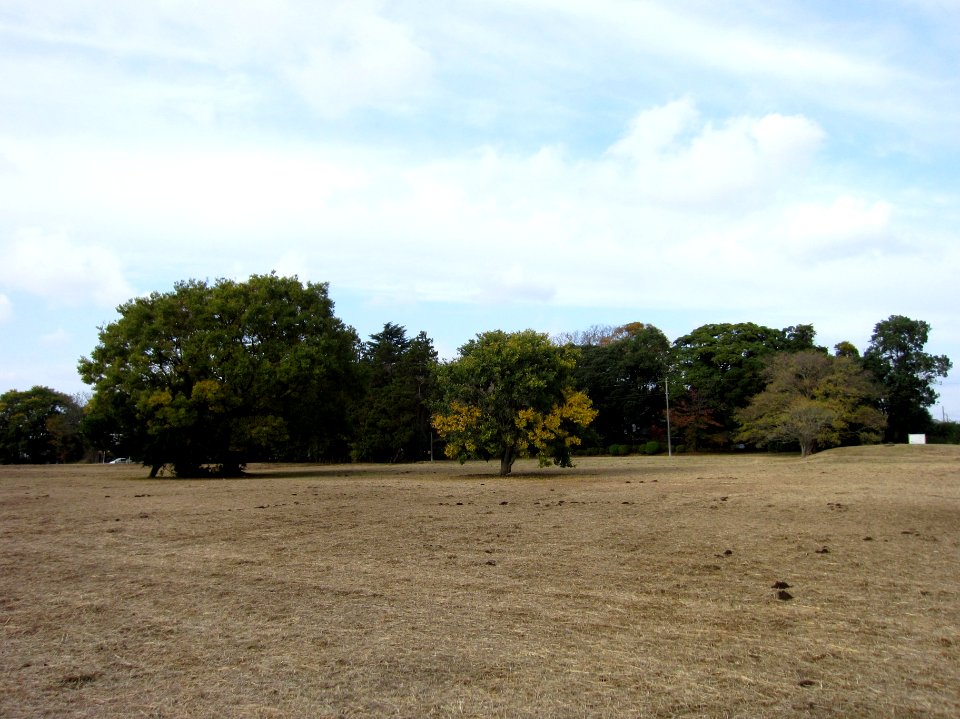 Kazusa-kokubunji-ato enkei