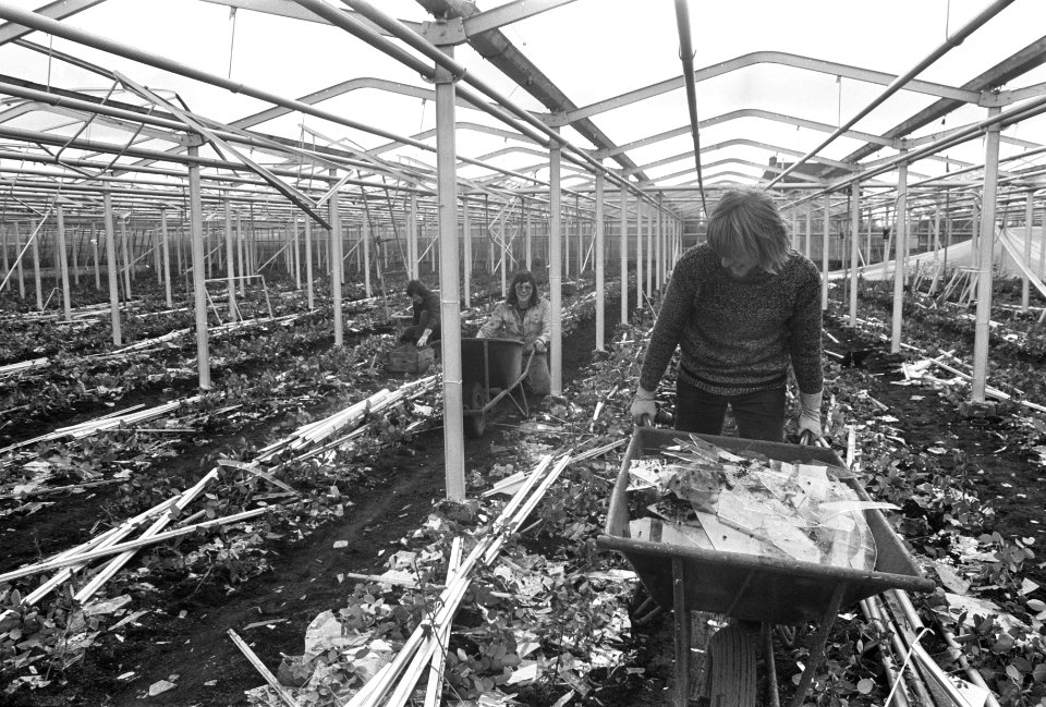 Kassen zwaar beschadigd door storm in Pijnacker, militairen ruimen glasscherven , Bestanddeelnr 926-3176