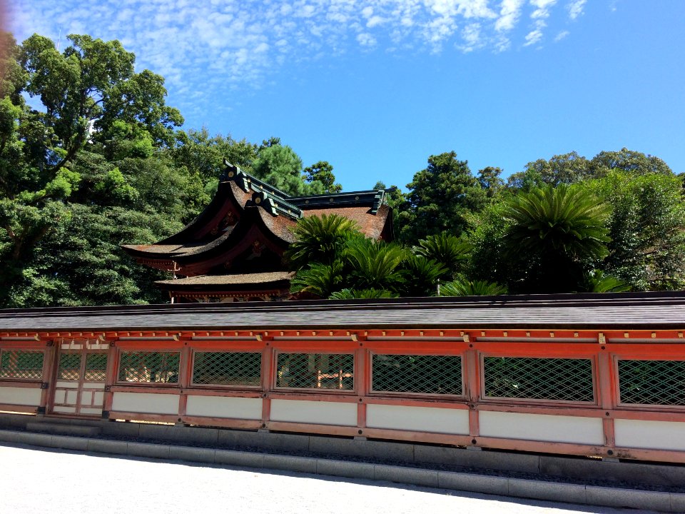 Kashii-gu-main-hall-lateral-view