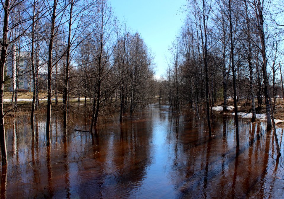 Kaupunginoja Oulu 20120428b