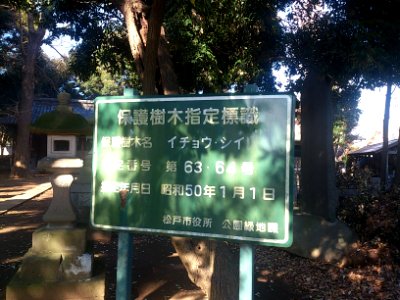 KazahayaJinjaMatsudo14