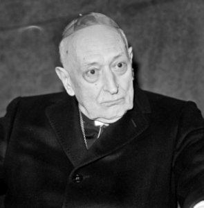 Kardinaal Mindszenty even op Schiphol, kardinaal Mindszenty op Schiphol, kop, Bestanddeelnr 927-1729