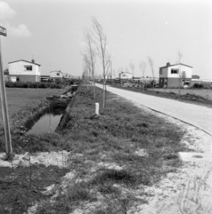 Karakteristieke landschappen, tuinbouwcentra, erica, Bestanddeelnr 164-0245
