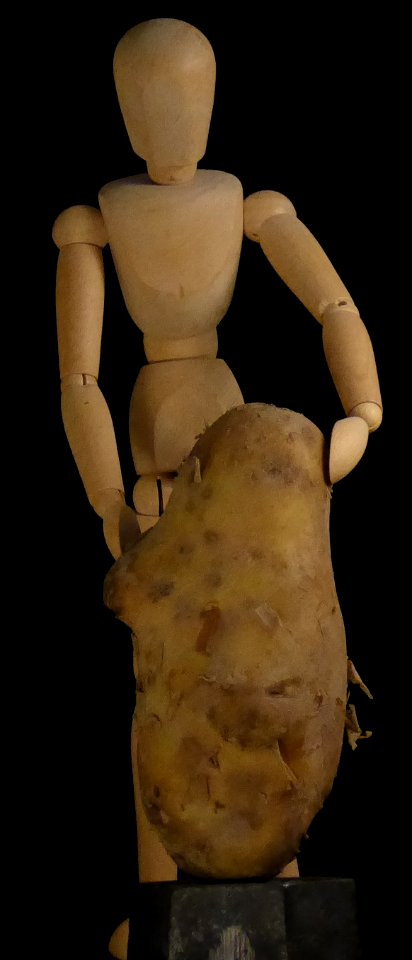 Kartoffelknolle Musica
