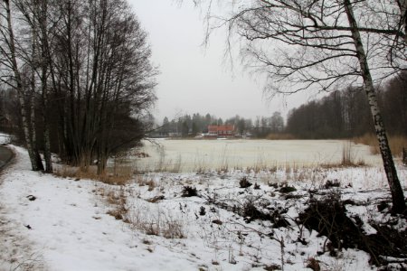 Kassmyrasjön, feb 2021
