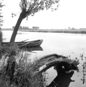 Karakteristieke landschappen, water, linge, enspijk, Rhenoy, Bestanddeelnr 164-0273