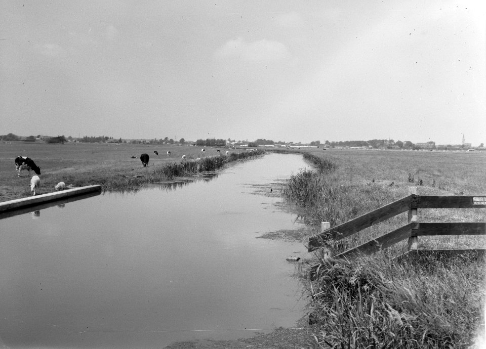 Karakteristieke landschappen, water, weide, Bestanddeelnr 164-0179