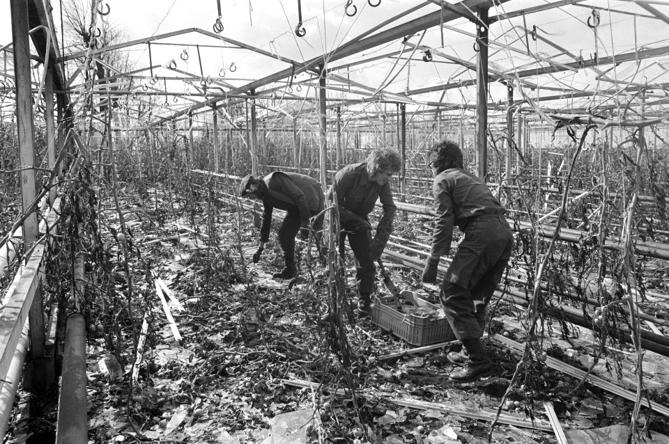 Kassen zwaar beschadigd door storm in Pijnacker, militairen ruimen glasscherven , Bestanddeelnr 926-3175
