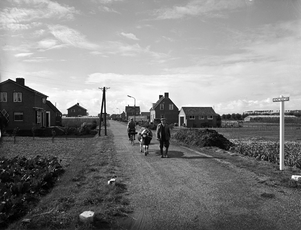 Karakteristieke landschappen, tuinbouwcentra, hoveniersweg, hoven de, Bestanddeelnr 164-0164