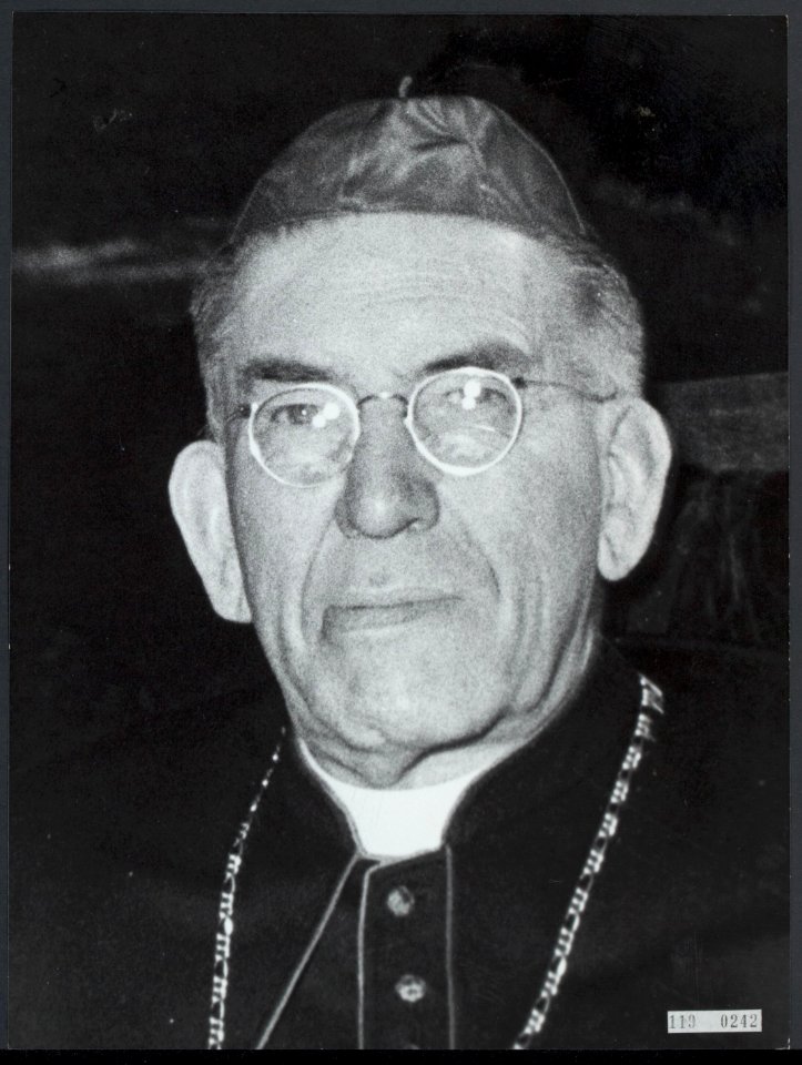 Kardinaal Johannes de Jong (1885-1955), Bestanddeelnr 119-0242