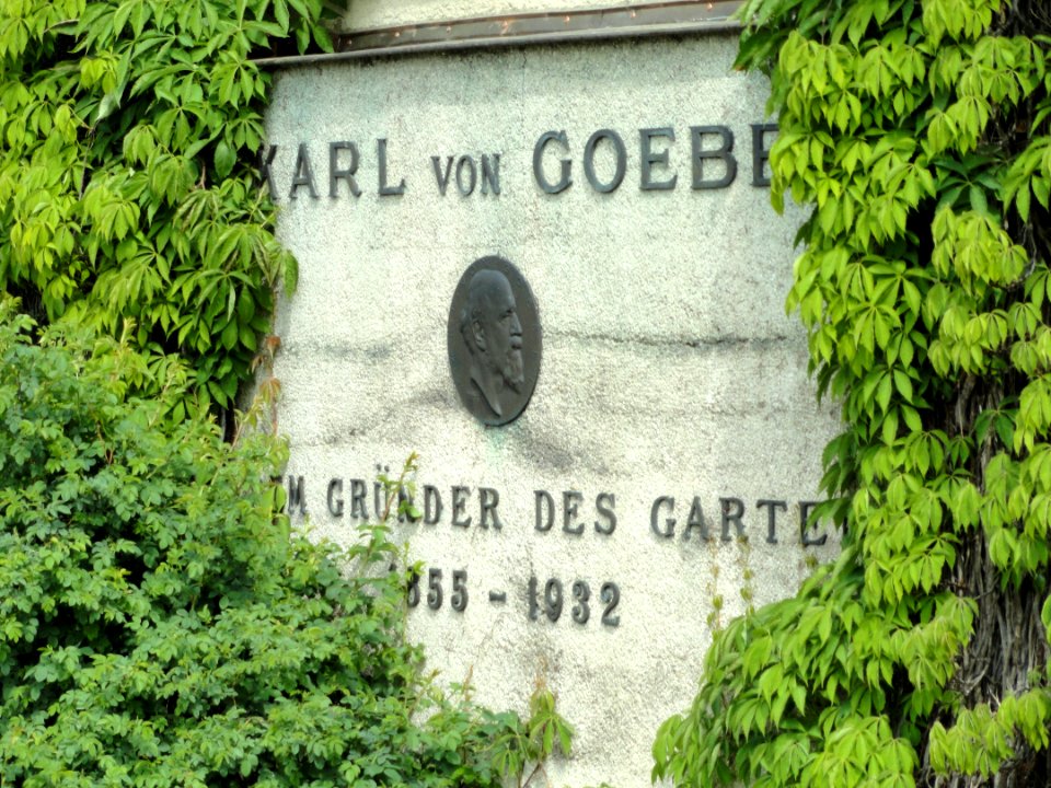 Karl von Goebel memorial - DSC07543