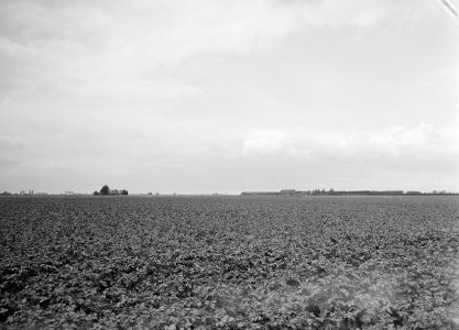Karakteristieke landschappen, polders, Bestanddeelnr 164-0209