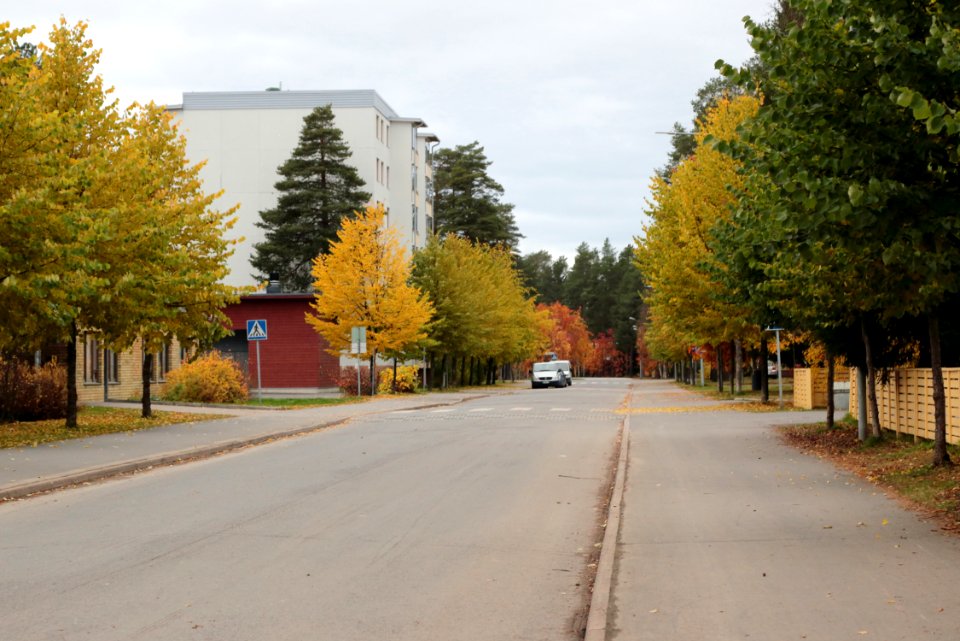 Karvarinaukio Oulu 20171014
