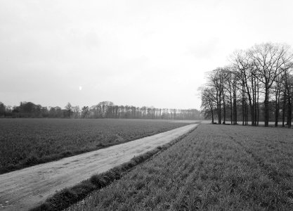 Karakteristieke landschappen, landgoederen, Enghuizen, Rechteren Limpurg, ASH, Bestanddeelnr 164-0268