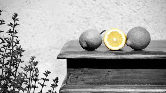 Sour vitamins citrus fruits photo