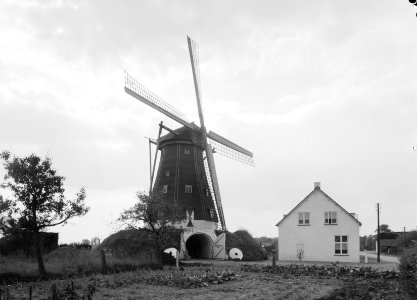 Karakteristieke landschappen, korenmolens, zwartbroek, Bestanddeelnr 164-0239