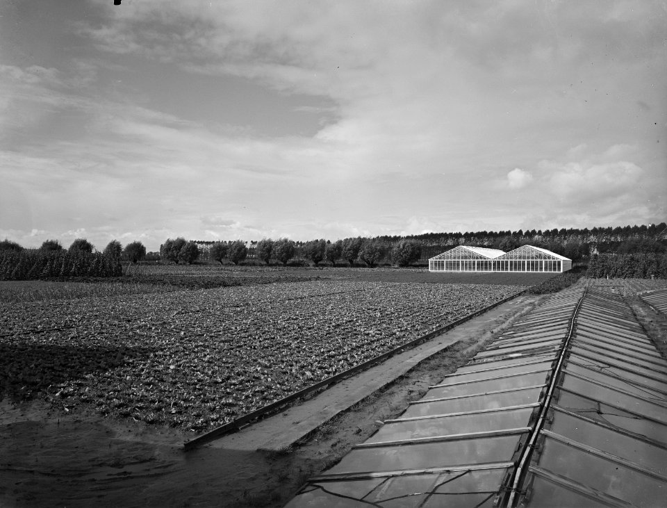 Karakteristieke landschappen, kassen, hoven de, Bestanddeelnr 164-0171