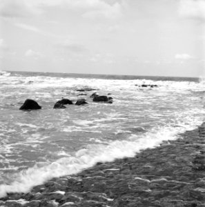 Karakteristieke landschappen, zee, hondsbosse zeewering, Bestanddeelnr 164-0141
