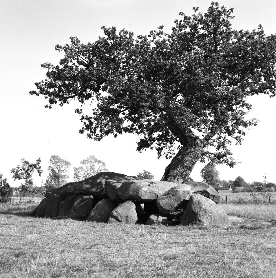 Karakteristieke landschappen, hunnebedden, Bestanddeelnr 164-0078
