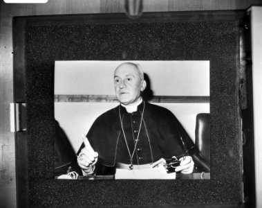 Kardinaal Pignedoli, een van de kandidaten voor het pausschap, Bestanddeelnr 929-8589