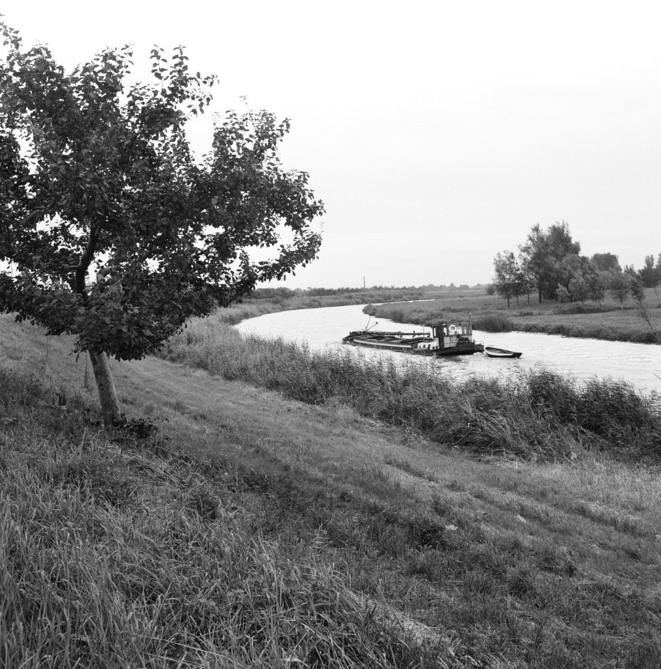 Karakteristieke landschappen, water, linge, Bestanddeelnr 164-0271