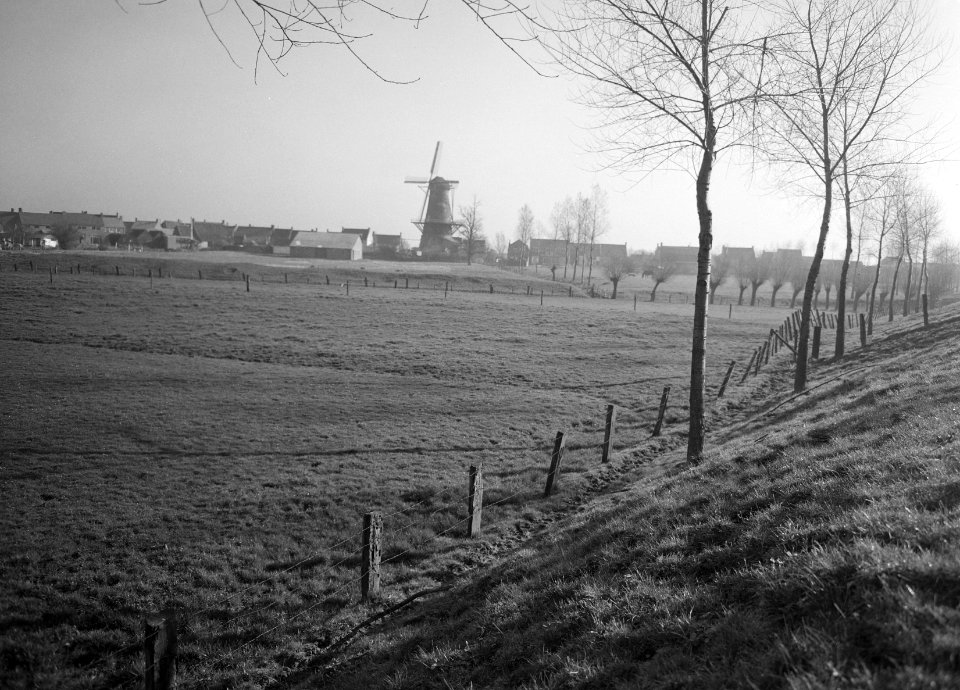 Karakteristieke landschappen, molens, weide, Bestanddeelnr 164-0023