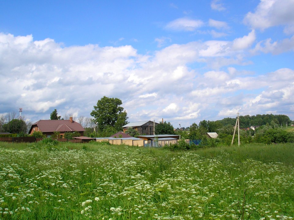 Kartsevo (Istra district) 3