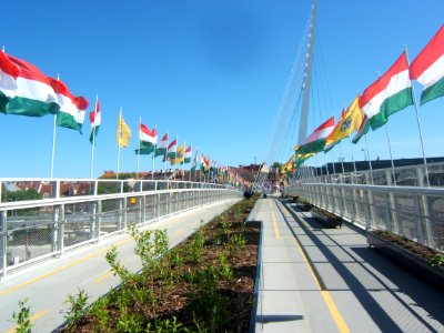 Kaposvári közlekedési központ 16