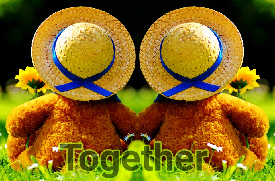 Bears connected togetherness