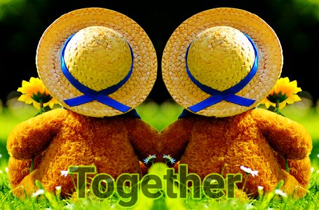 Bears connected togetherness