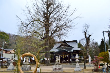 Karakawa-jinja, keidai