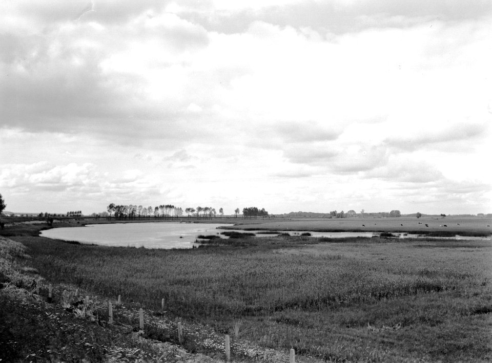 Karakteristieke landschappen, uiterwaarden, hureveensene uiterwaard, Oensel, Bestanddeelnr 160-1336
