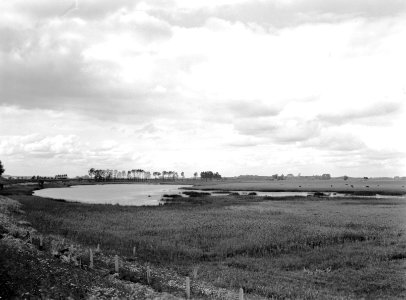 Karakteristieke landschappen, uiterwaarden, hureveensene uiterwaard, Oensel, Bestanddeelnr 160-1336