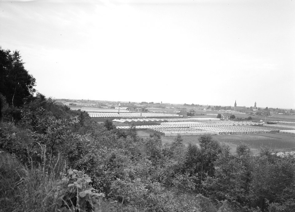 Karakteristieke landschappen, tuinbouw, Bestanddeelnr 164-0199
